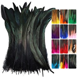 Colorful Rooster Tail Feathers-50PC 10-12inch Natural Long Rooster Tail Feathers Bulk (Black)