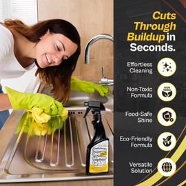 Flitz Stainless Steel & Chrome Clean - 16oz Bottle, USA-Made Stainless Steel Cleaner Spray for Appliances - Grill, Fridge, Sink Stain Remover - Also Works on Aluminum Surfaces (1 Pack)