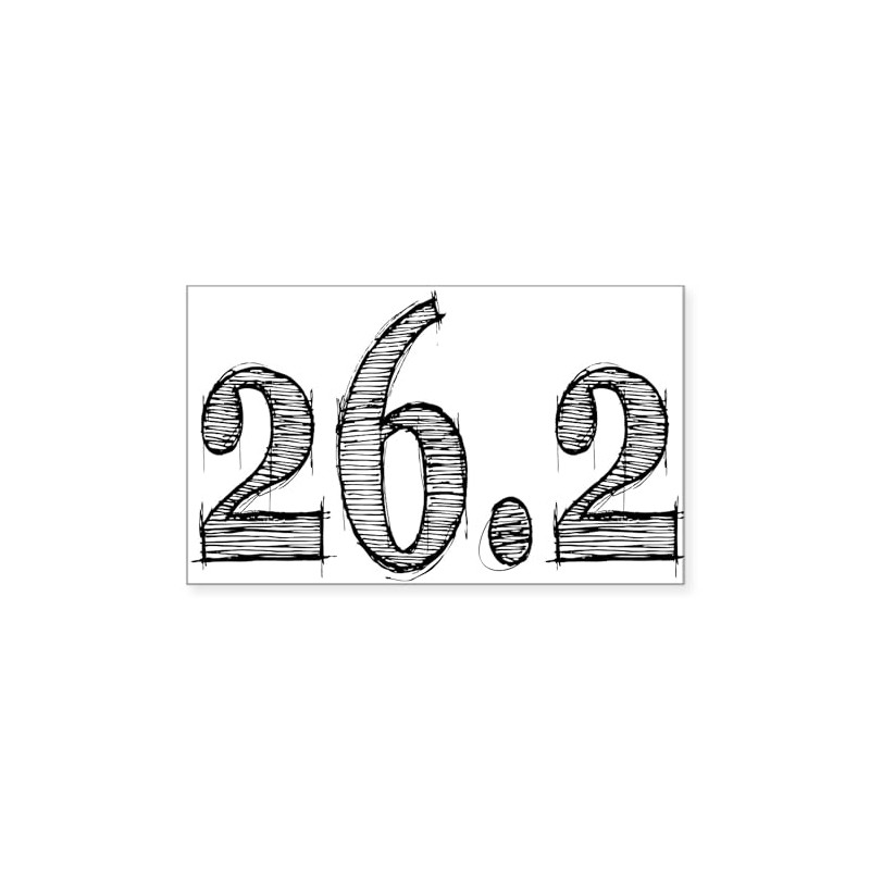 CafePress 262 Sticker Rectangle Bumper Sticker Car Decal