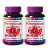 2 bottles of high-content concentrated pomegranate powder (6 months' supply)