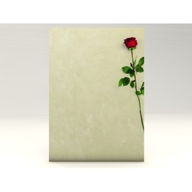 Rote Rose, 100 Blatt Motivpapier 90g/qm