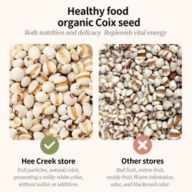 Job's Tears Coix Seed Jobs Tears Seeds Pearl Barley Coix Rice No addition No Sugar薏米 薏仁米 薏仁 薏苡仁18oz/500g