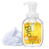 Biore The Body Foaming Type Pump, 18.2 fl oz (540