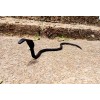 Rebar King Cobra Snake Hand Forged Iron Snake Garden Decor