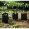 Genérico Bolsas Cultivo de Jardin o vivero Altas (20x30)