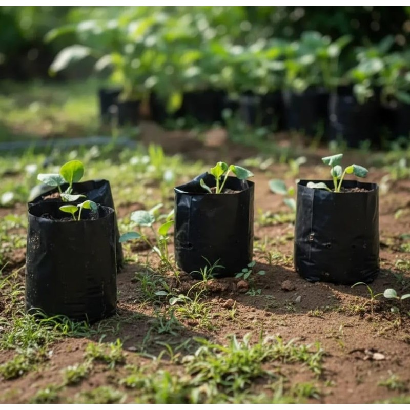 Genérico Bolsas Cultivo de Jardin o vivero Altas (20x30)