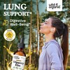 Wild & Organic Wild & Organic Slippery Elm Drops - Lung, Digestive & Women's Support - Slippery Elm Bark Tincture - Liquid Ulmus Rubra Extract Supplement - Vegan, Sugar & Alcohol-Free - 2 fl oz