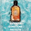 AGADIR Argan Oil Hair Treatment, 4 Fl Oz (Pack of