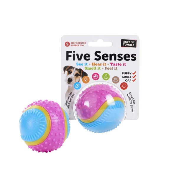 Sharples Five Senses Rubber Ball, Small