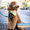 BAAPET 2/4/5/6 FT Strong Dog Leash with Comfortable Padded Handle