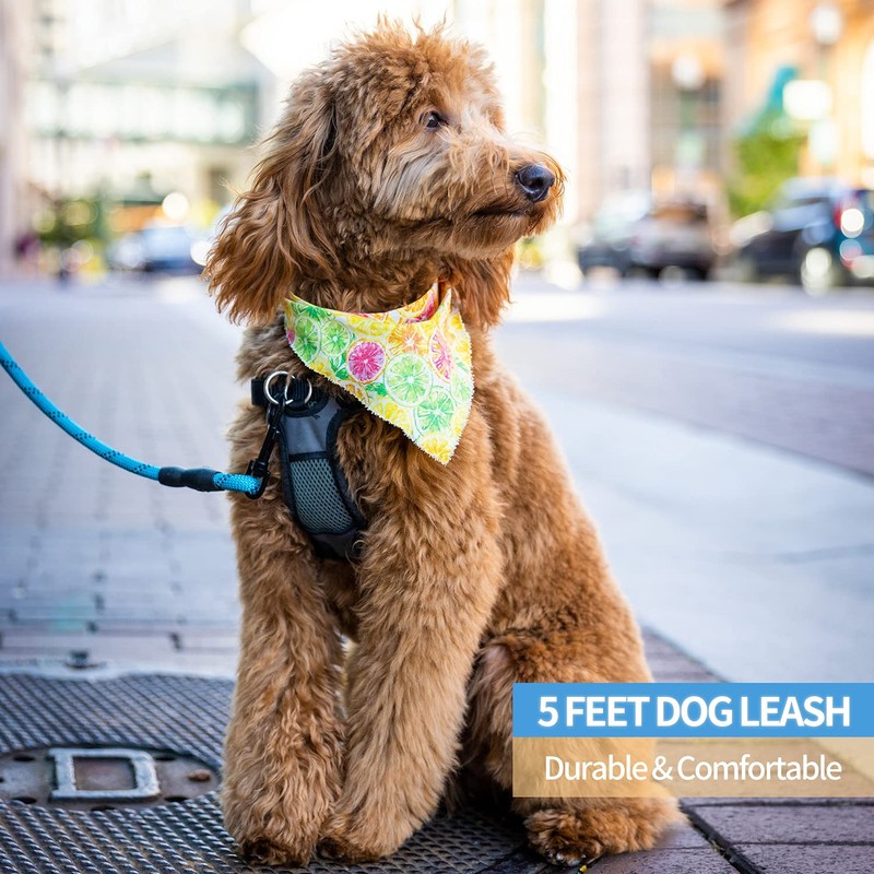 BAAPET 2/4/5/6 FT Strong Dog Leash with Comfortable Padded Handle