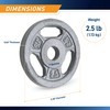 Marcy Cast Iron 2.5lb 1" Standard Grip Plate - B5G-5502