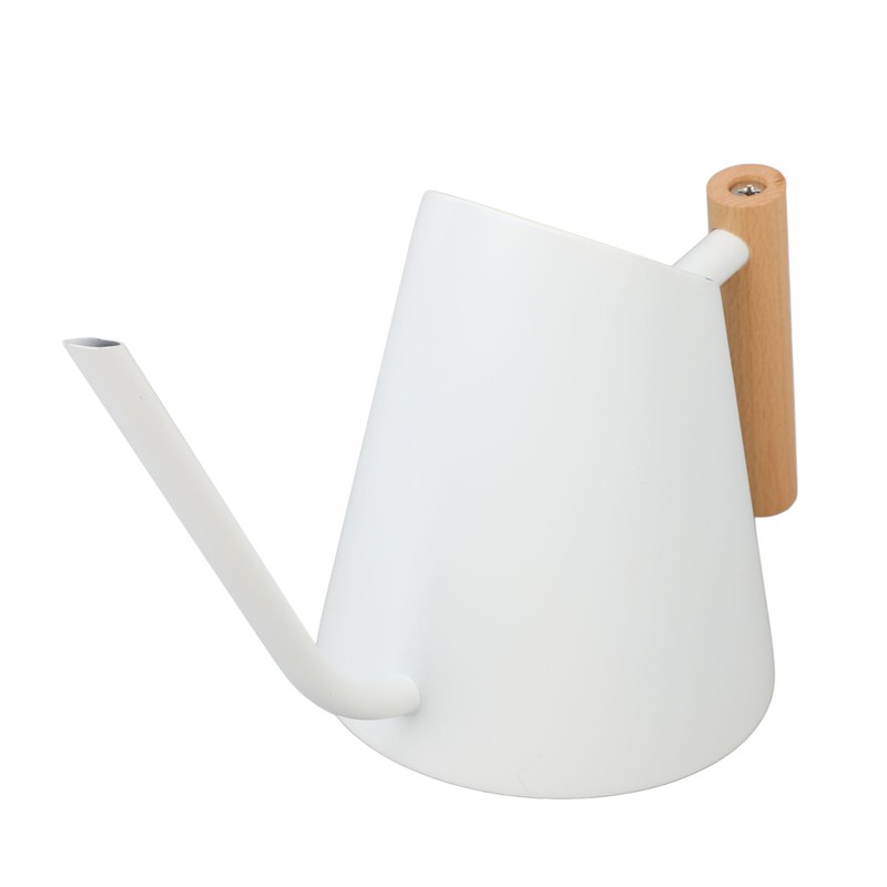 Watering Can with Long Spout 800ml Stainless Steel Matte Indoor