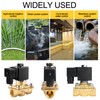 220 V AC Solenoid Valve Brass 3/4 Inch Electromagnetic Valve