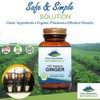Pure Mountain Botanicals Ginger Capsules - Kosher Vegan with 1000mg