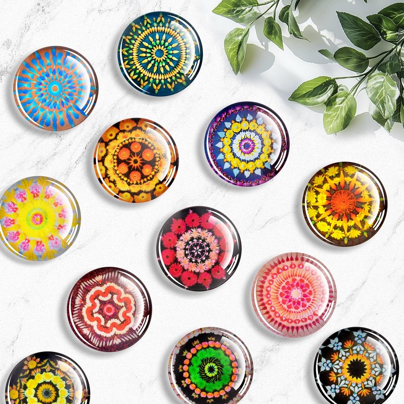 FINDMAG 12 Pcs Cute Fridge Magnets, Strong Refrigerator Magnets, Glass
