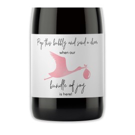 BABY GIRL Baby Shower Mini Champagne Labels - She’s About To POP Mini Champagne Bottle Labels ● SET of 12 ● Thank You for Celebrating with us - Pink Stork Bundle of Joy Favors WATERPROOF M102-STORK-12