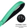 EXCELLENT ELITE SPANKER Reflective Nylon Dog Lead Padded Handle 5