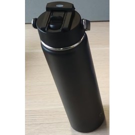 Stainless Steel Drinking Bottle with Straw 750 ml: Leak-Proof Double-Walled Vacuum Insulated Bottle for Sports, Travel, Gym, BPA-Free (Black)