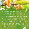 Oshi Saryo Domestic Biwa Tea Bag 0.1 oz (3 g)