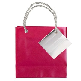 JAM Paper Opaque Shopping Bags - Mini - 5 3/4 x 5 3/4 x 2 1/2 - Red -Sold individually