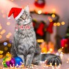 ADOGGYGO Pink Christmas Cat Collar with Bowtie Bandana, Christmas Kitten