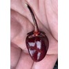 Purple Bubblegum 7 Pot BBG Scorpion Super Hot Pepper Premium