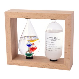 茶谷 Industrial Thermometer and Storm Glass 333 – 272 