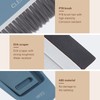 Small Table Dustpan Brush Set, 2 Brushes and 1 Dustpan