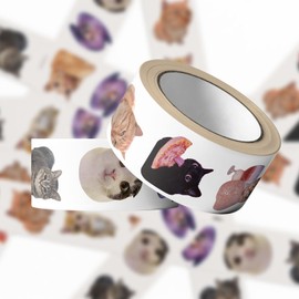 500PCS Funny Cat Stickers Roll 10 Styles Cat Meme Stickers for Kids Cats Party Favors Kawaii Animal Decals Vinyl Waterproof Sticker Cute Sticker Pack(500 Per Roll)