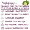 Mighty Leaf Earl Grey Decaf Tea, 100 Tea Pouches