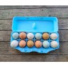 cheep cartons Styrofoam Bulk Egg Cartons (50 pack) Blue
