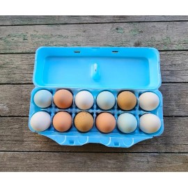 cheep cartons Styrofoam Bulk Egg Cartons (50 pack)  Blue