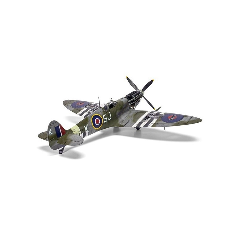 BB17001 1 vs 24 Supermarine Spitfire Mk.Ixc / BB17001 1대24