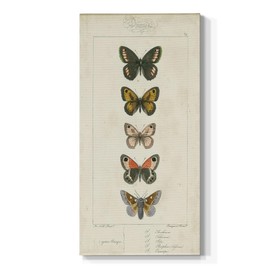 Renditions Gallery Canvas Wall Art Home Paintings & Prints Vibrant Colorful Butterflies Modern Abstract Elegant Wall Hanging Canvas Decorations for Office Bedroom Kitchen - 20"x40" LT519