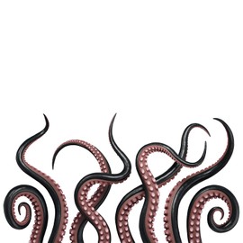 DEIKOKA Octopus Tentacles Wall Stickers Sea Animal Wall Decal Peel and Stick Removable Sea Monster Octopus Art Stickers Bathroom Living Room Bedroom Window Decoration
