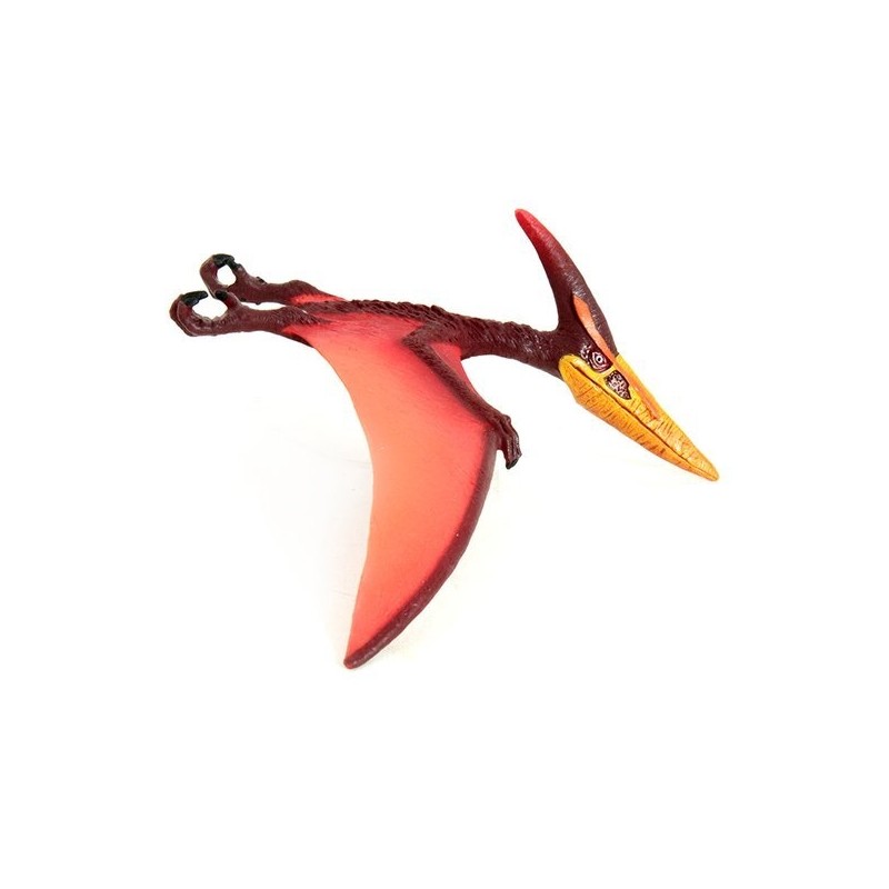 Pteranodon / 프테라노돈