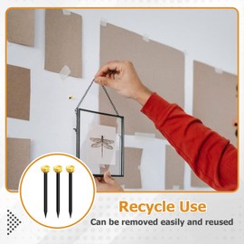 Bralucy 50pcs Picture Pins Brass Head Wall Pins Picture Hanging Nails with Plastic Storage Box for Walls Hat Picture Frames Photo Plaster Hangers