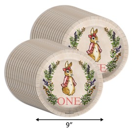 Peter Rabbit Girl's First Birthday - 32 Piece Disposable Party Supplies - Decorations for Bunny 1st Birthday Round Party Plates - Large 9" Paper Plates In Bulk