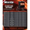 WestCo 12V20P Factory Activated Maintenance-Free Rechargeable Sealed Lead-Acid Battery by