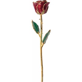 Gold Dipped Rose 24K Real Flower, 12 inch long stem, 24k Gold Plated Real Rose, Gifts for Mom, Birthday Gift for Women, Mothers and Valentines Day, Rose for Anniversary (Sparkle Ruby Red Lacquer)