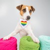 HACRAHO Rainbow Dog Bandana, 2 PCS White Rainbow Dog Bandana
