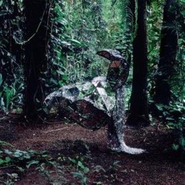 Donkey [Vinyl] by CSS [Vinyl]