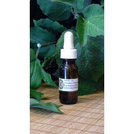 The Vital Image Wow Oil 0.5 oz