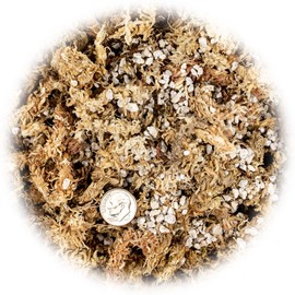 Gardenera Premium Carnivorous Plant Potting Mix - 2 Quart Sphagnum Moss and Perlite Blend for Potting Venus Fly Traps, Sarracenia, Pitcher Plants