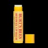 Burt's Bees Lipbalm Stick