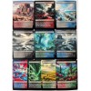 Fetch Lands Complete set of 10 - Proxy Cards with