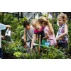 Frontier Seeds NON-GMO Red Burgundy Okra seeds Heirloom Open Pollinated