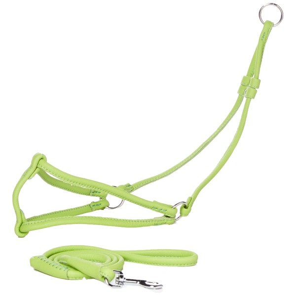 Dogline Soft Round/Rolled Genuine Leather Step-In Harness with 15 to 20-Inch Chest and 36-Inch Leash, Green