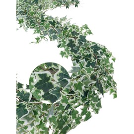ucky 2pcs Artificial Ivy Artificial Vines Artificial Plants 71 Inch Fake Hanging Plants Silk for Garden Terrace Beach Party Decoration Wedding Decoration （White）